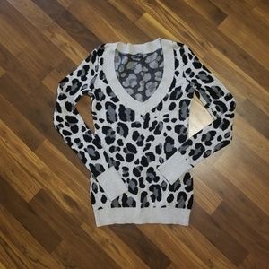 Express Deep V Long Sleeve Shirt